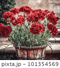 赤いカーネーション 101354569
