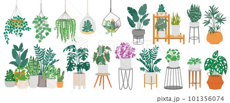 Indoor plants with decorative greenhouse elements. Green plants standing in pots on shelves, hanging in planter, macrame at cozy interior isolated on white background. Vector set Indoor plants with decorative greenhouse elements. Green plants standing in pots on shelves, hanging in planter, macrame at cozy interior isolated on white background. Vector set 101356074