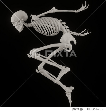 ポーズをとる人体の骸骨さん黒バック ポーズをとる人体の骸骨さん黒バック 101356295