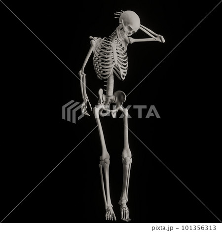 ポーズをとる人体の骸骨さん黒バック 101356313