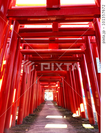 神社の鳥居 小泉稲荷 群馬県 神社の鳥居 小泉稲荷 群馬県 101357672