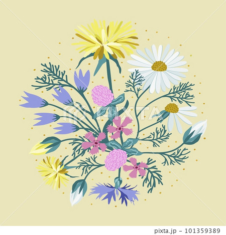 Vector isolated illustration of wildflowers. Dandelions, cornflower and wild carnation in a circle. 101359389