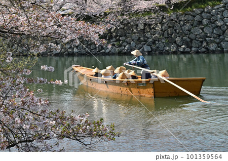 姫路城の水堀(城壁)と桜 姫路城の水堀(城壁)と桜 101359564