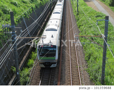 電車 横浜線 101359688