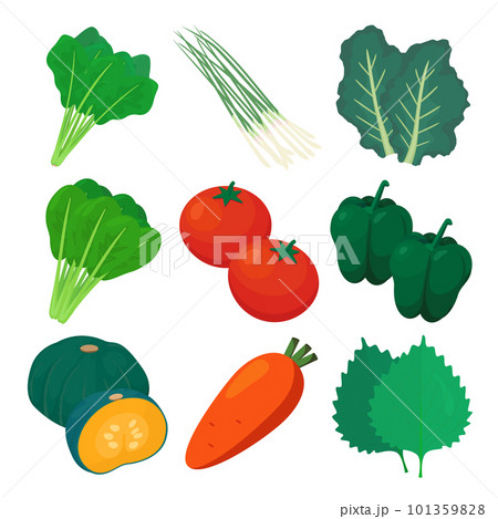 緑黄色野菜のベクターイラスト。 101359828
