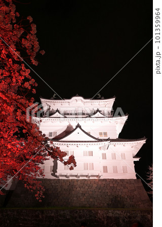 小田原城と桜の遠景風景 101359964