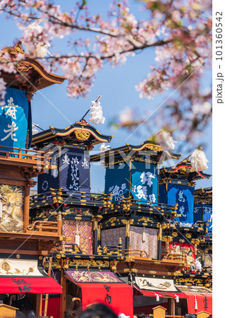 犬山祭、満開の桜と車山〈愛知県犬山市〉 101360542