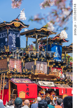 犬山祭、満開の桜と車山〈愛知県犬山市〉 101360548