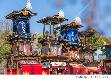 犬山祭、満開の桜と車山〈愛知県犬山市〉 101360551