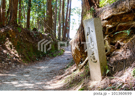 【奈良県】山辺の道 101360699