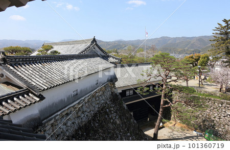 桜咲く春の高知城、天守2階から見る東多聞、廊下門、詰門と二ノ丸 101360719