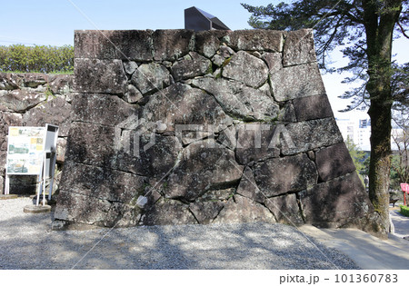 高知城、鉄門跡の打ち込みハギの石垣 高知城、鉄門跡の打ち込みハギの石垣 101360783