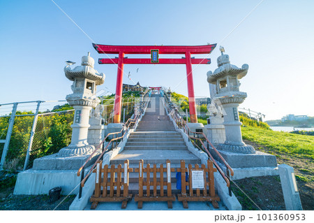 「青森県」蕪島神社・八戸市 101360953