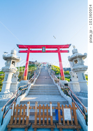 「青森県」蕪島神社・八戸市 「青森県」蕪島神社・八戸市 101360954