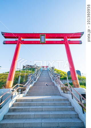 「青森県」蕪島神社・八戸市 「青森県」蕪島神社・八戸市 101360956