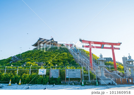 「青森県」蕪島神社・八戸市 101360958