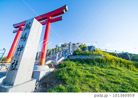 「青森県」蕪島神社・八戸市 101360959