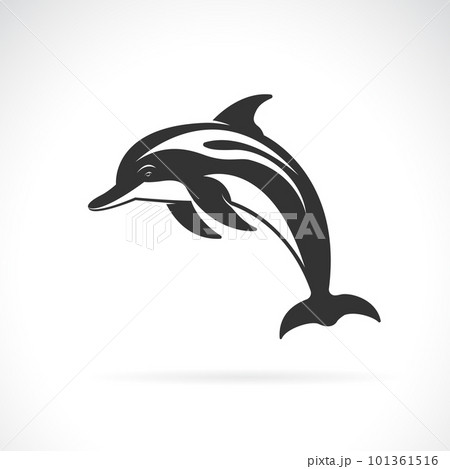 Vector of a dolphin design on white background. Easy editable layered vector illustration. Sea Animals Vector of a dolphin design on white background. Easy editable layered vector illustration. Sea Animals 101361516