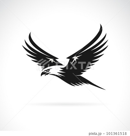 Vector of an eagle design on white background. Easy editable layered vector illustration. Bird. Wild Animals. Vector of an eagle design on white background. Easy editable layered vector illustration. Bird. Wild Animals. 101361518