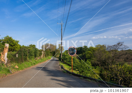 のどかな田舎道風景 のどかな田舎道風景 101361907