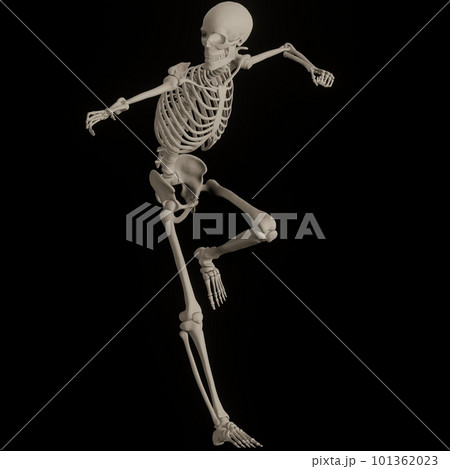 ポーズをとる人体の骸骨さん黒バック ポーズをとる人体の骸骨さん黒バック 101362023