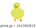 デフォルメされたひよこのイラスト 101362819