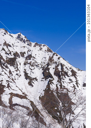残雪期の天神尾根から見た谷川岳 残雪期の天神尾根から見た谷川岳 101363104