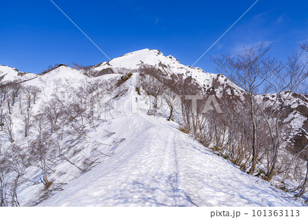 残雪期の天神尾根から見た谷川岳 101363113
