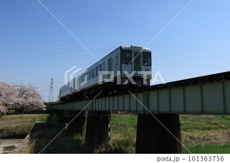 春の鉄橋を渡る八高線 キハ110系 《埼玉県》 春の鉄橋を渡る八高線 キハ110系 《埼玉県》 101363756