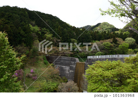 春の雀川砂防ダム(埼玉県ときがわ町) 春の雀川砂防ダム(埼玉県ときがわ町) 101363968