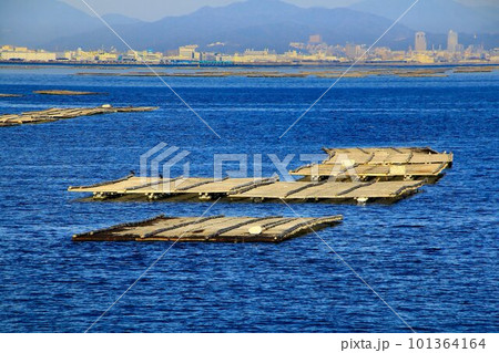瀬戸内・海の幸 牡蠣の養殖 瀬戸内・海の幸 牡蠣の養殖 101364164
