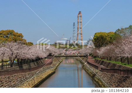 平和市民公園の桜（裏川・大分市） 101364210