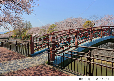 春の武漢の森(大分市) 春の武漢の森(大分市) 101364211