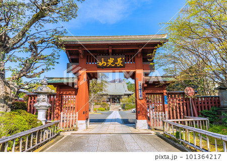 日本の横浜都市景観　東急電鉄　妙蓮寺駅前の妙蓮寺などを望む 101364217