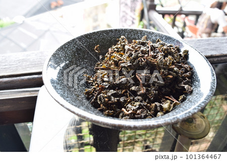 お茶の出がらし 101364467