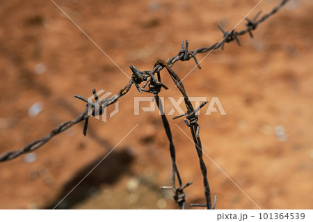 Barbed wire, close up. 101364539