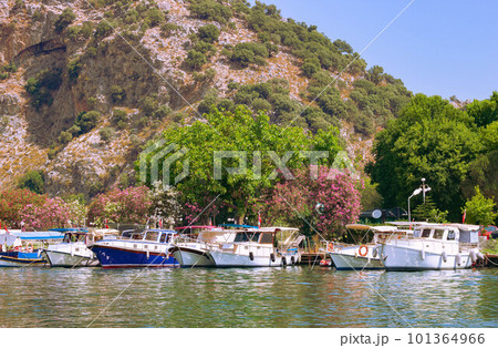 Touristic River Boats moored at the pier of the Dalyan River, Mugla, Turkey. 101364966