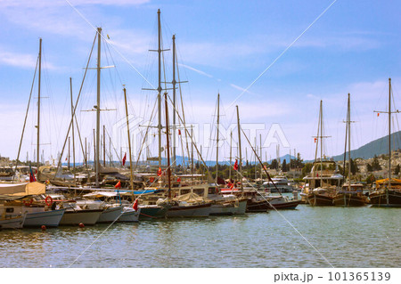 View of many yachts and boats moored at Bodrum harbor in a sunny summer day. 101365139