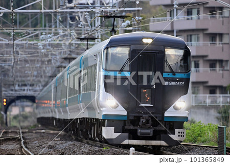 東海道本線　真鶴　JR東日本　E257系2500番台　NC-31編成（大宮）　踊り子 101365849