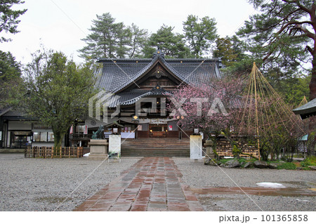 尾山神社　神門側から拝殿を望む 101365858