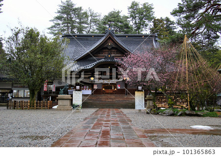 尾山神社 神門側から拝殿を望む 尾山神社 神門側から拝殿を望む 101365863