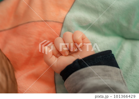 The baby's small hand is clenched into a fist and rests on a multi-colored blanket, close-up, view from above. The hand of a sleeping newborn. A healthy newborn baby. Children's things The baby's small hand is clenched into a fist and rests on a multi-colored blanket, close-up, view from above. The hand of a sleeping newborn. A healthy newborn baby. Children's things 101366429