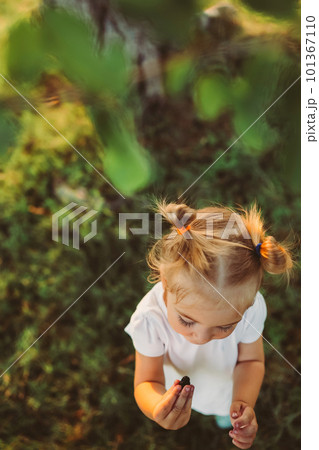Toddler girl eating mulberries straight from the branch. Toddler girl eating mulberries straight from the branch. 101367110