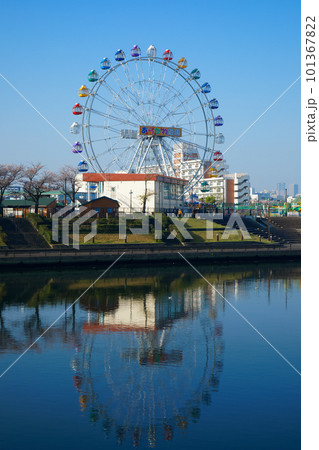 あらかわ遊園の新観覧車と満開の桜 あらかわ遊園の新観覧車と満開の桜 101367822