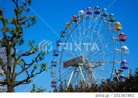 あらかわ遊園と青空 101367862