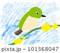 枝にとまるメジロ 101368047