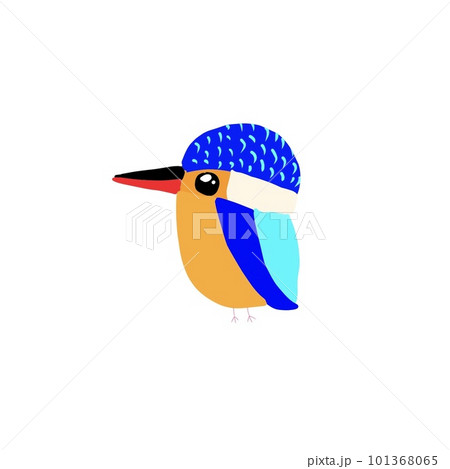可愛いカワセミのイラスト 可愛いカワセミのイラスト 101368065