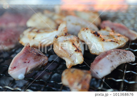 炭焼き 網焼きバーベキュー 鶏肉 炭焼き 網焼きバーベキュー 鶏肉 101368676