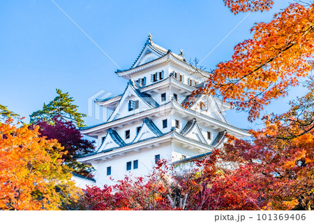 岐阜　紅葉の郡上八幡城 101369406