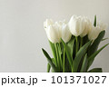 Tulip flowers bouquet white color on white background. Close-up. Text copy space. Tulip flowers bouquet white color on white background. Close-up. Text copy space. 101371027
